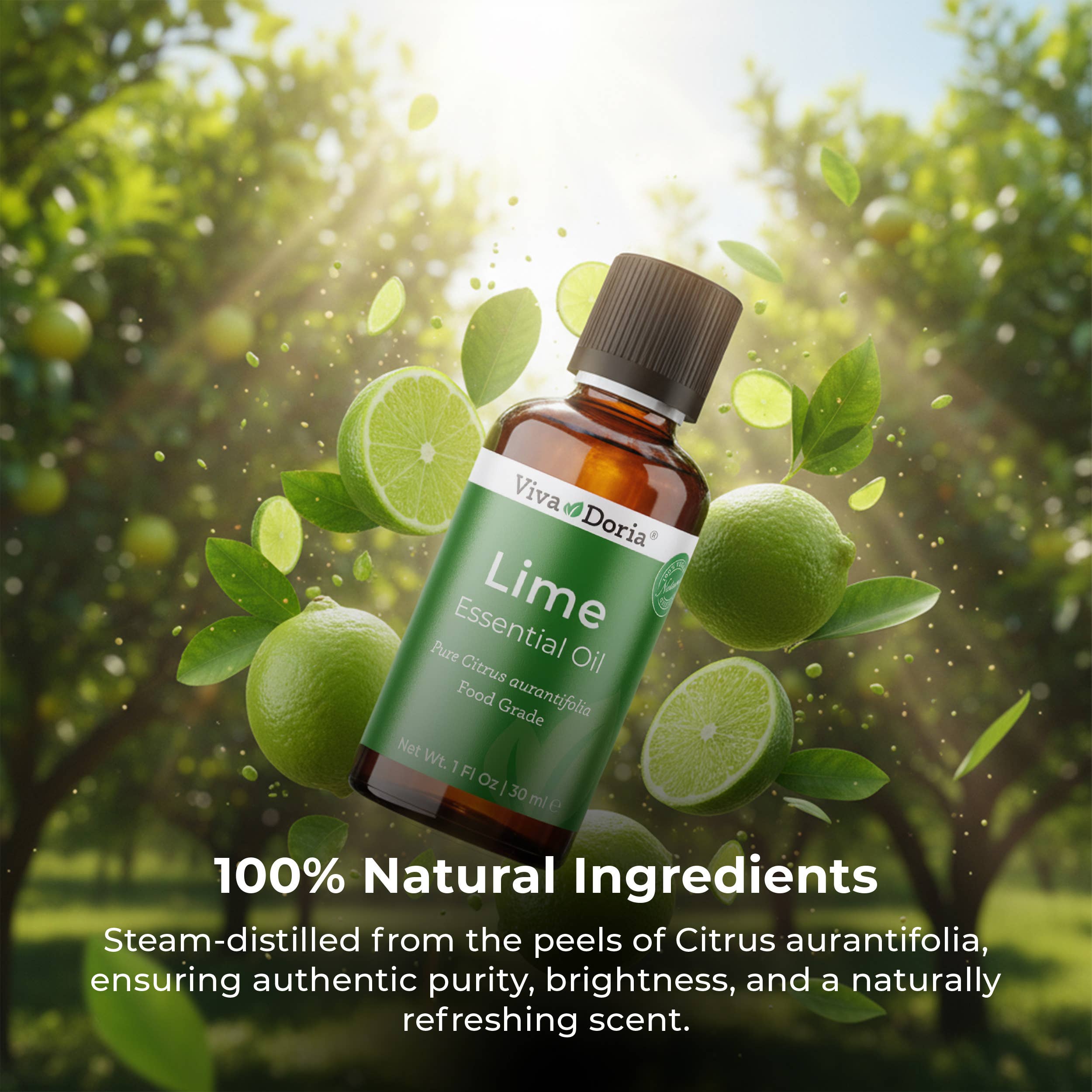 VIVA DORIA INC. - Wholesale Essential Oil - Lime Essential Oil, Food Grade, 30 mL (1 Fluid Ounce) 3