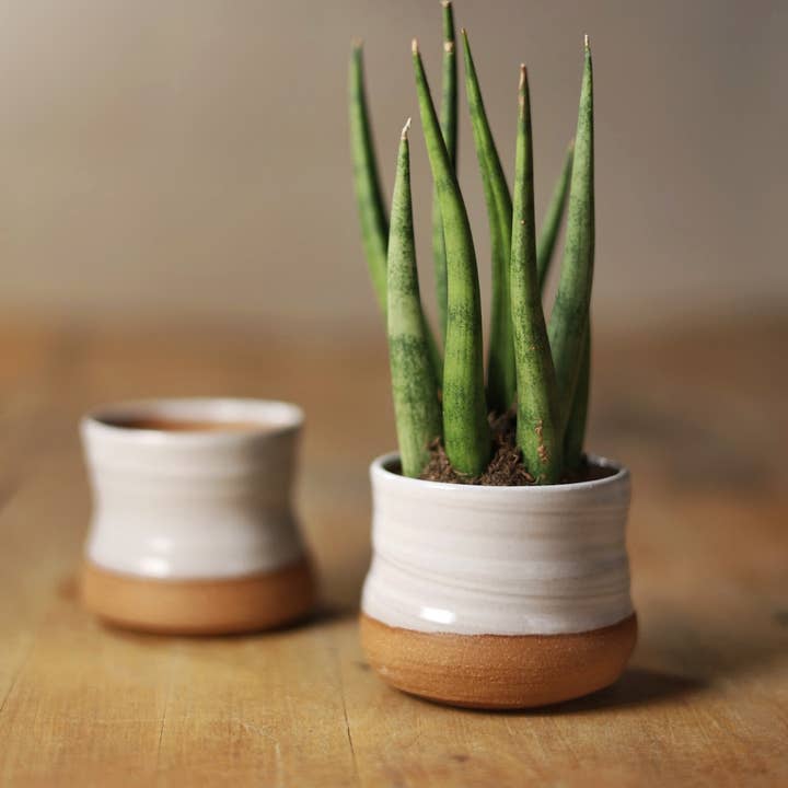 Gravesco Pottery - Wholesale Plant pot - Assorted Small Planter Pots | White 2 inch handmade8