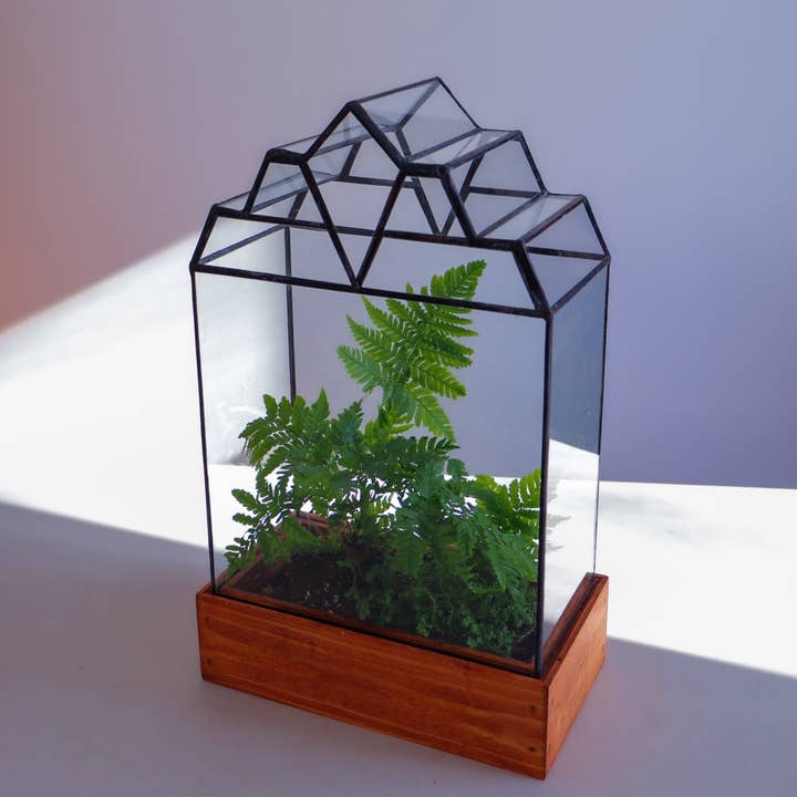 The Mendel Handcrafted Glass Terrarium for wholesale by Leadhead Glass