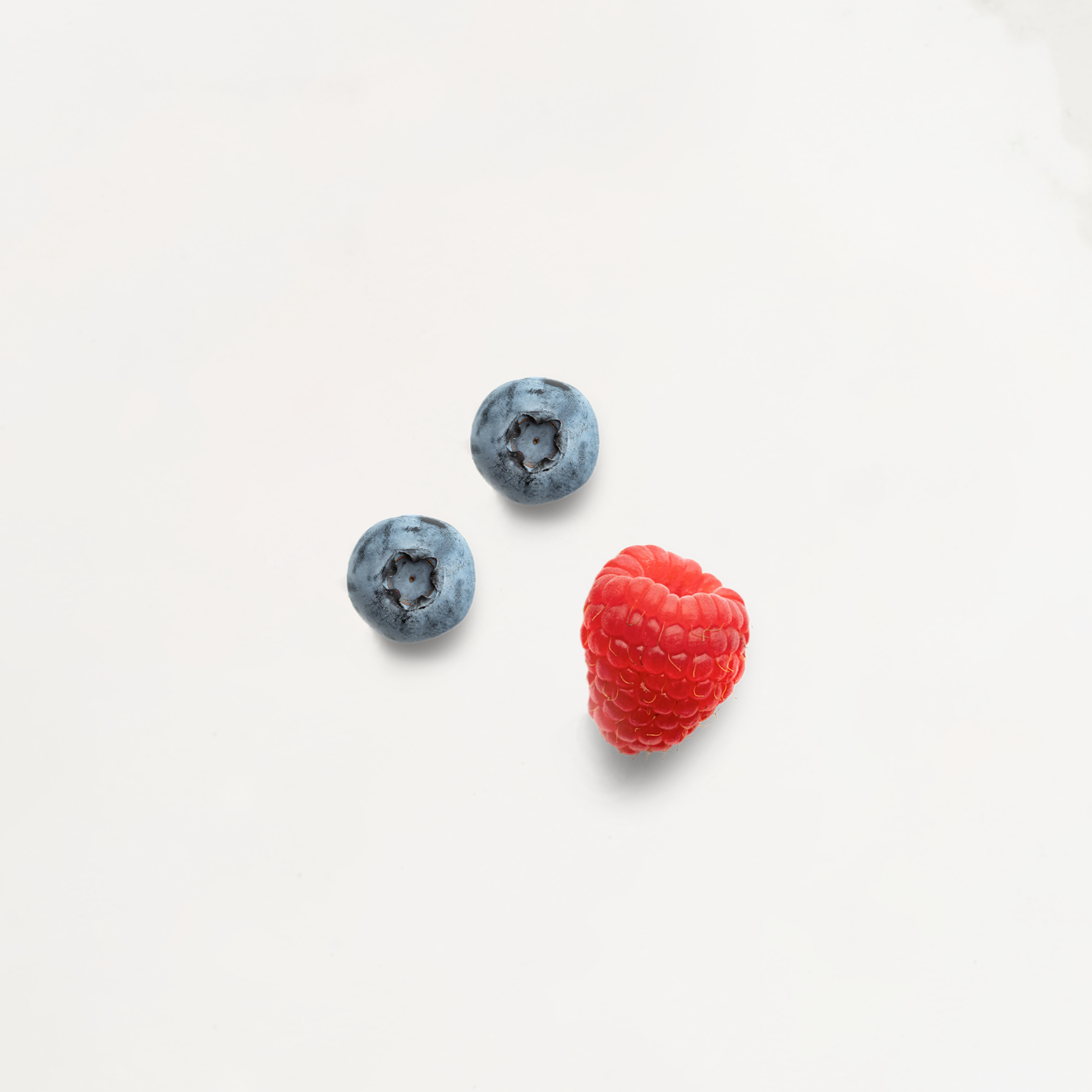 Ditta Artigianale - Wholesale Coffee Beans - Kenya Gifted AA - Caffè Singola Origine1