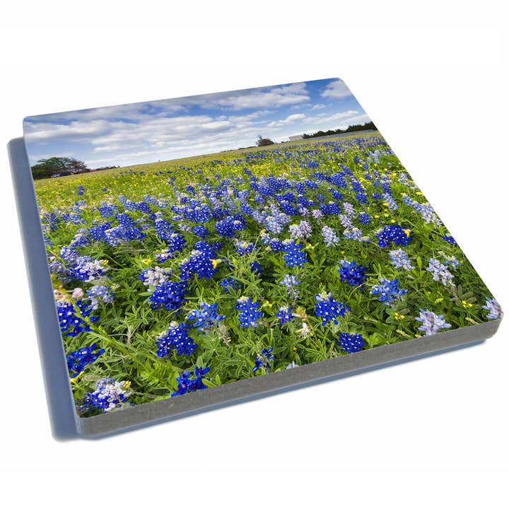 Stone Drink Coaster w/Cork Backing - Texas Bluebonnets for wholesale by EXIT82ART