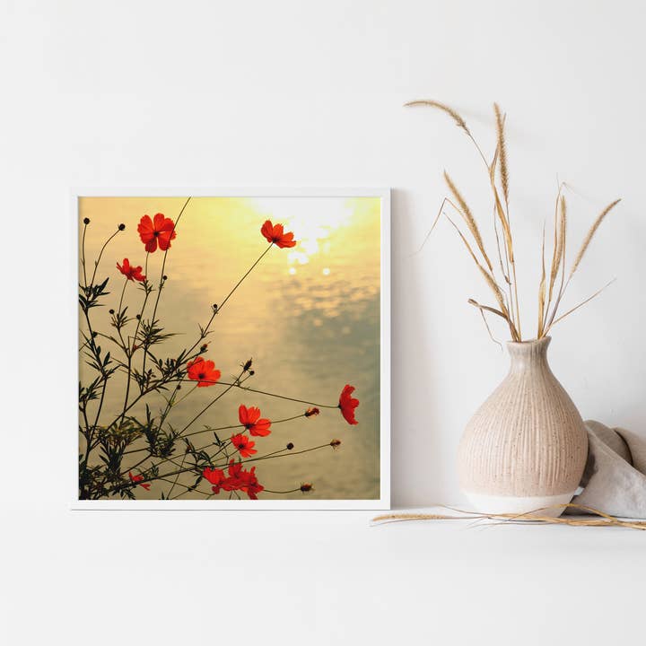 Red Poppies Botanical Art Print for wholesale by Veni Etiam Photography