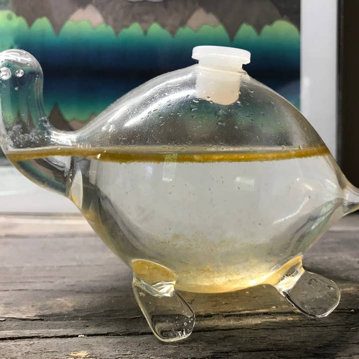 PyroFarms - Wholesale Decorative Tabletop Object - Bioluminescent Bio-Turtle - Gift Option