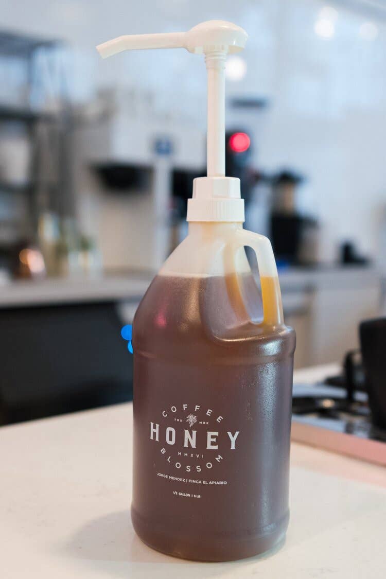 Coffee Blossom Honey - Vendita all'ingrosso Miele - Miele di Coffee Blossom - Brocca da 1/2 gallone1