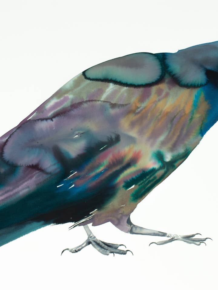 Grackle n.º 4 para venta al por mayor de Elizabeth Becker