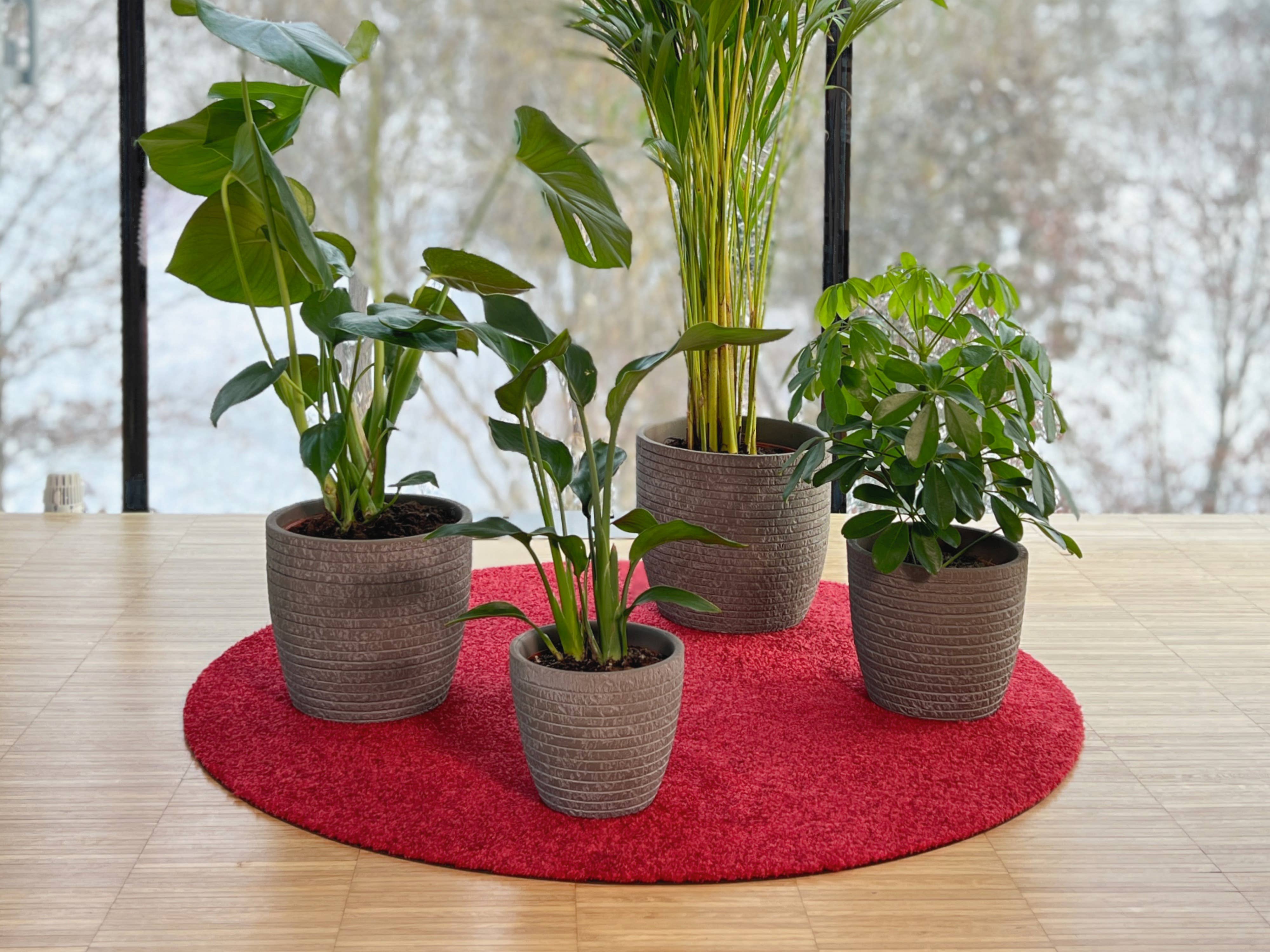 Keilbach Designprodukte - Wholesale Plant Pot - Flora3