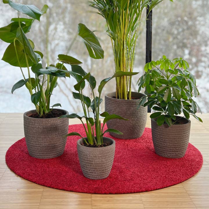 Keilbach Designprodukte - Wholesale Plant Pot - Flora3