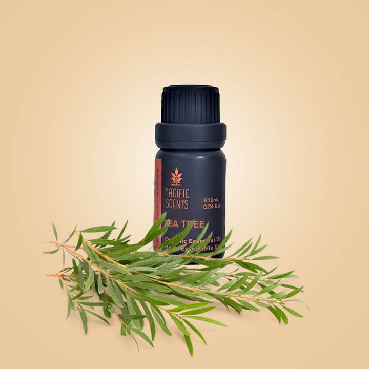 Tea Tree Essential Oil 10ml for wholesale by PACIFIC SCENTS