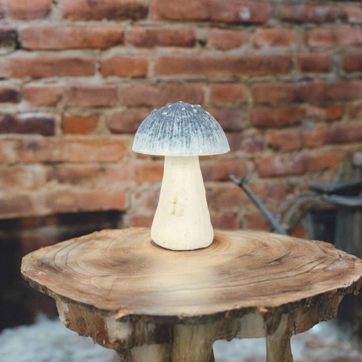 Cheungs Home Decor - Wholesale Decorative Tabletop Object - Hareton Cast Iron Mushroom Decor