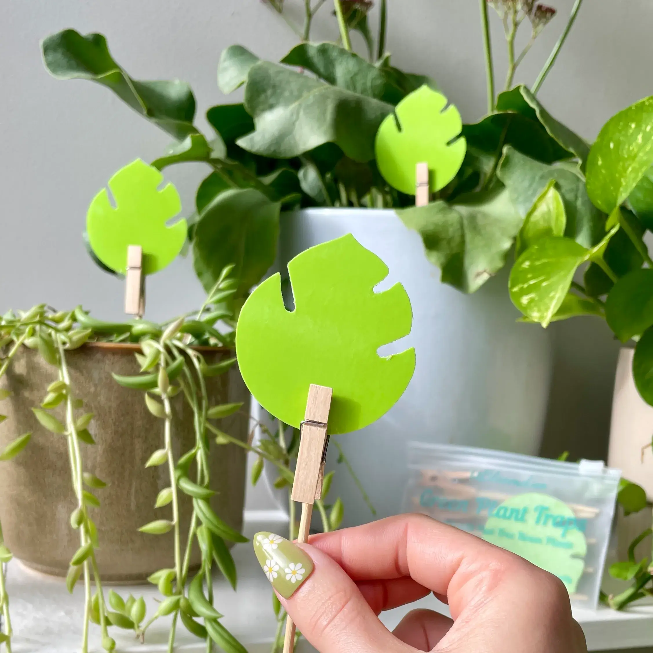 uBloomd - Wholesale Garden tool - Monstera Leaf Green Plant Traps4