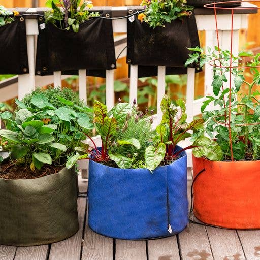 Smart Pots - Wholesale Plant Pot - Forest Green Smart Pots 20 Gallon: Tomato & Melon Grower