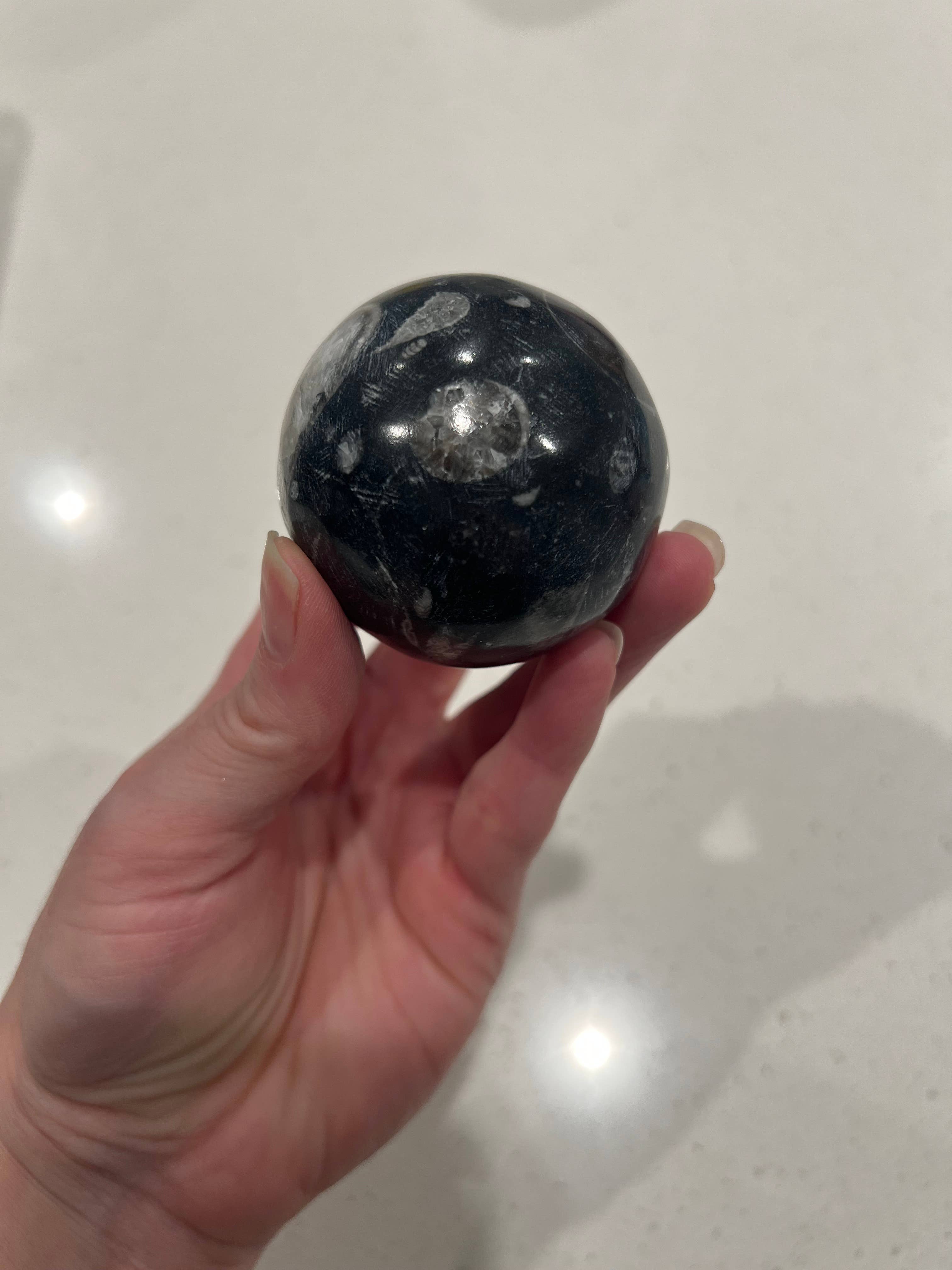 Only Crystals Remain - Vendita all'ingrosso Pietra/cristallo spirituale - Sfere di ortoceras Sfere di cristallo fossile3