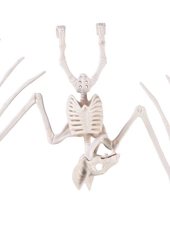 Bat Skeleton for wholesale by P'tit Clown