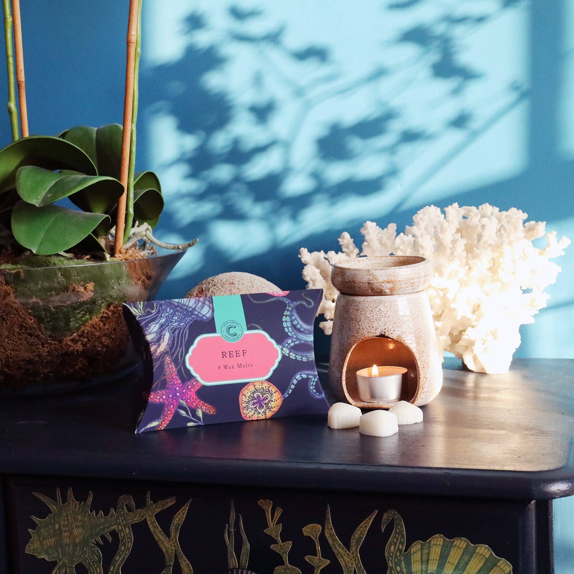 Cream Cornwall - Vente Fondants - Boîte de neuf produits Reef Wax Melts3