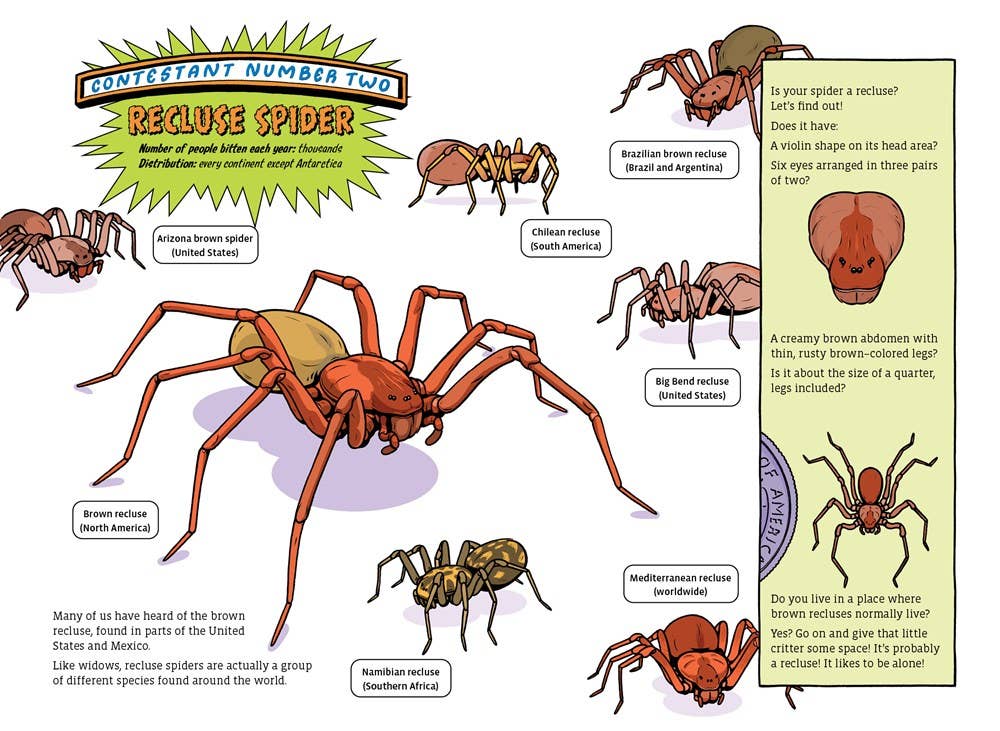 W. W. Norton - Wholesale Nature & Outdoors - The Deadliest: Spider9