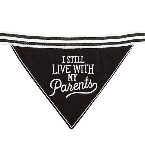 Santa Barbara Design Studio by Creative Brands - Wholesale Pet Bandana - Dog - Pet Bandana - I Still Live With My Parents1