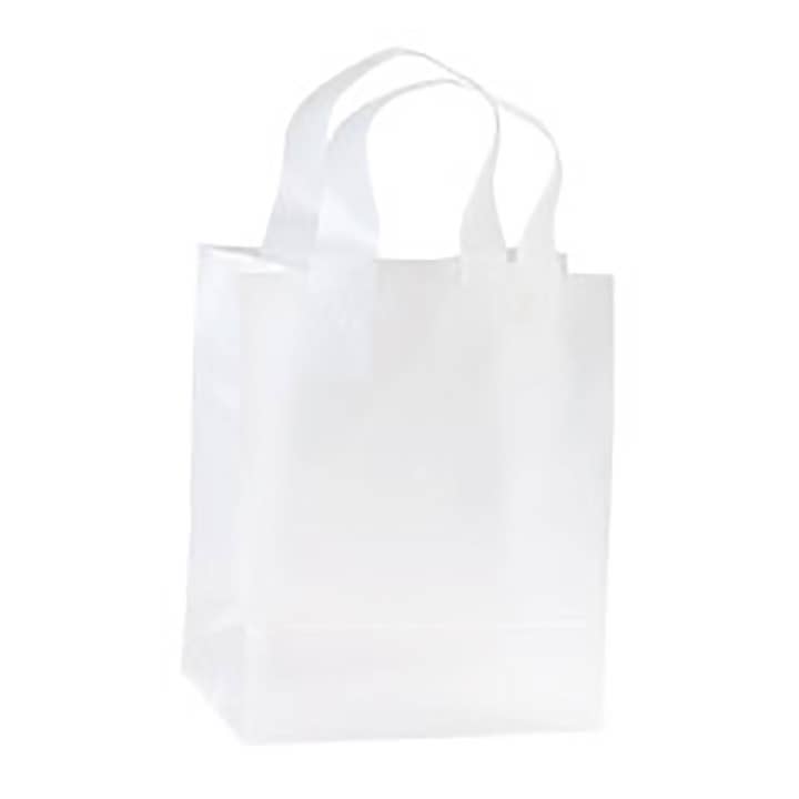 Store Supply Warehouse - Wholesale Gift Bag - Frosted Retail Shopping Bags1