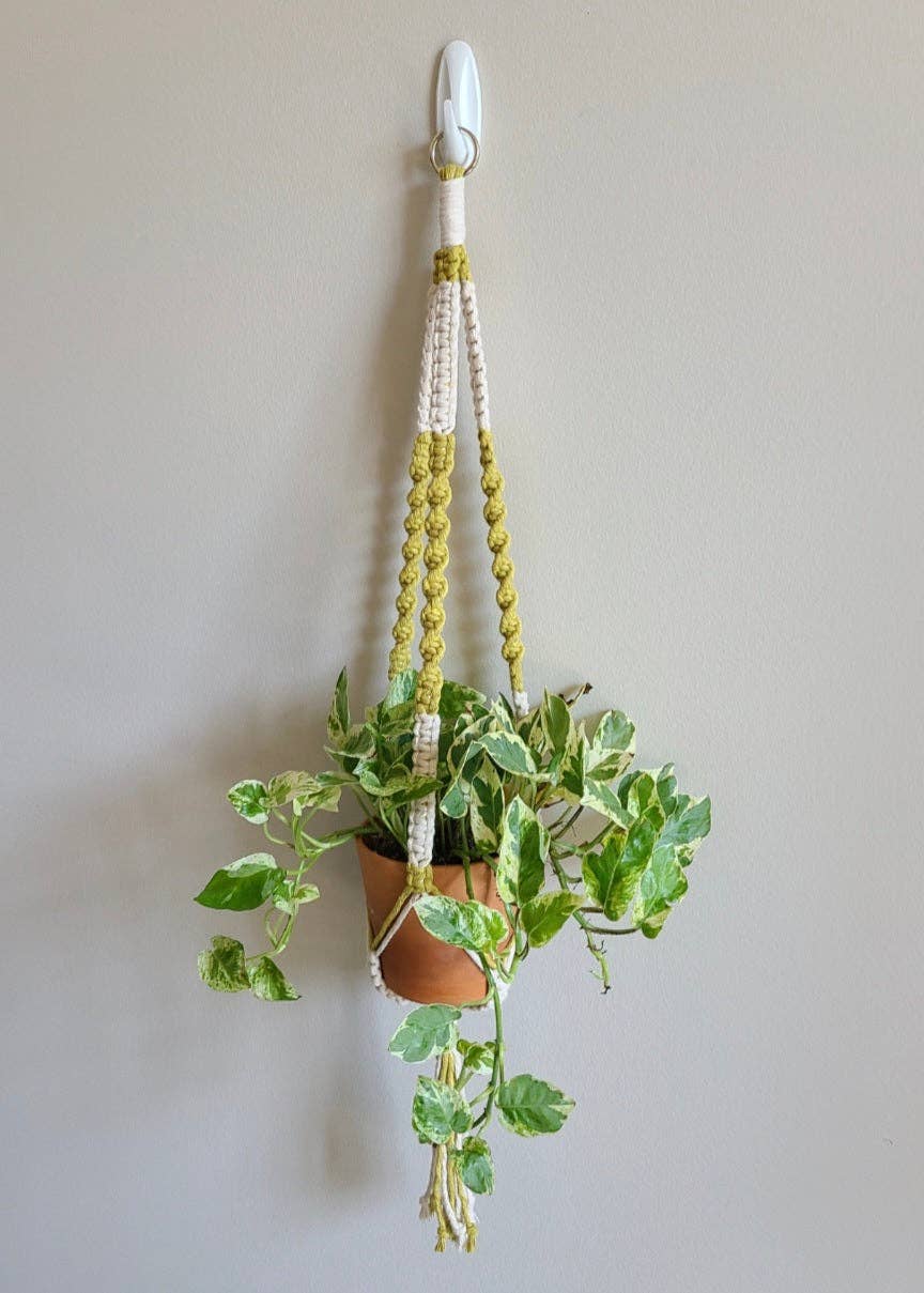 Macramé Mouse - Wholesale Hangende plantenbak - De Twist Plantenhanger (Twee Kleuren) - Middenhangende Plantenhanger0