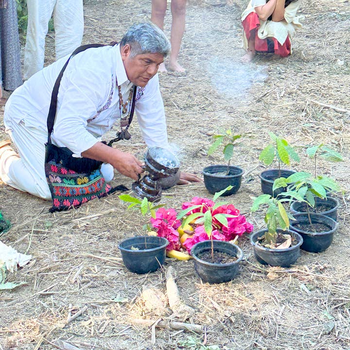 Soul Lift Cacao - Wholesale Hot cocoa mix/kit - El Grano de Oro de Miahuatlán 100% Pure Ceremonial Cacao Paste from Mexico2