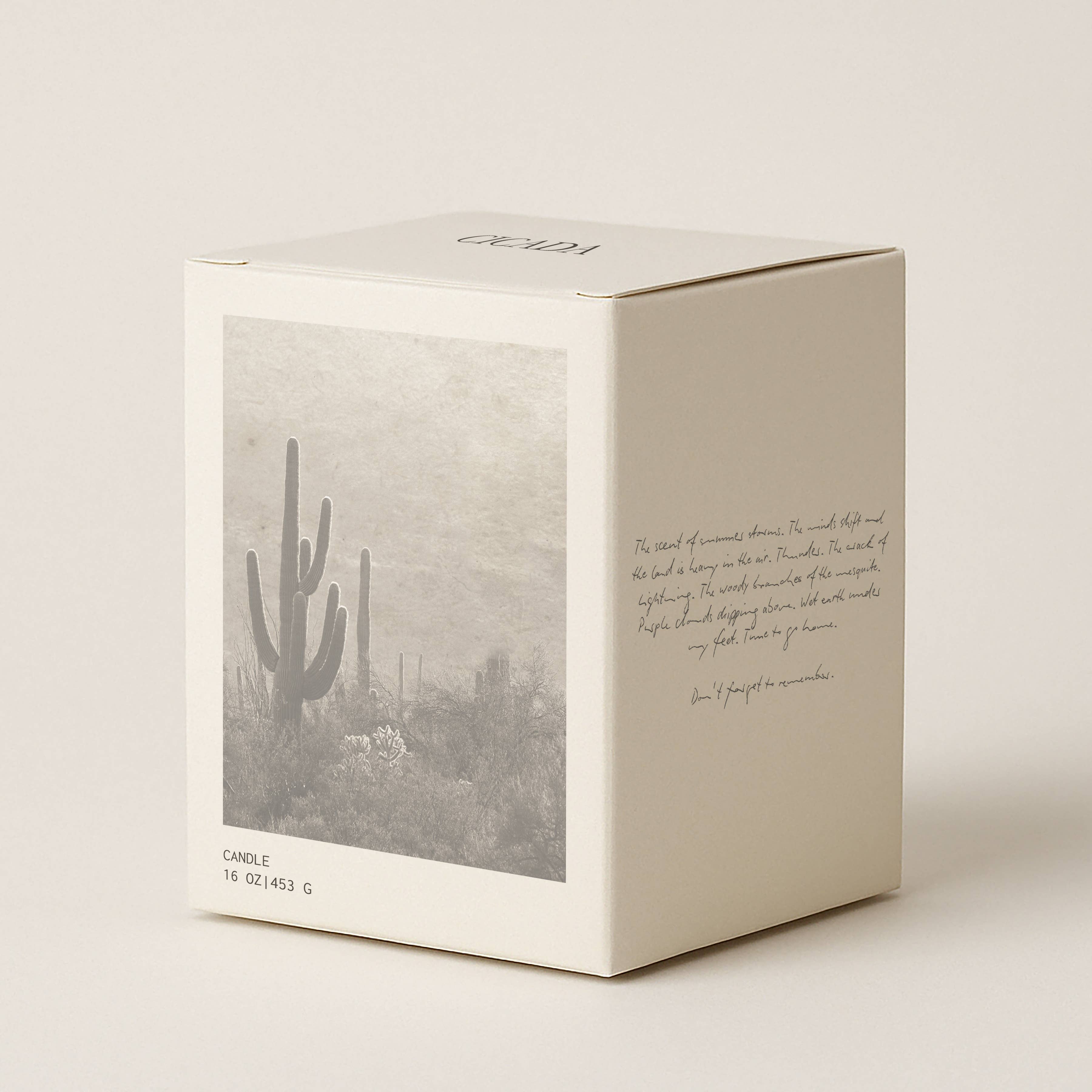 CICADA - Wholesale Jar/Filled Candle - No. 01 Large Candle - the scent of summer storms3