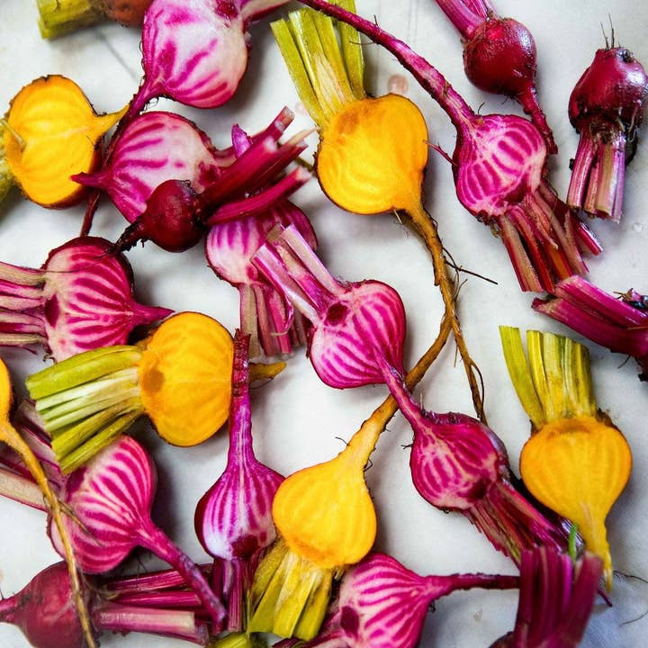 Sow True Seed - Wholesale Plant Seeds - Beet Seeds - Rainbow Blend