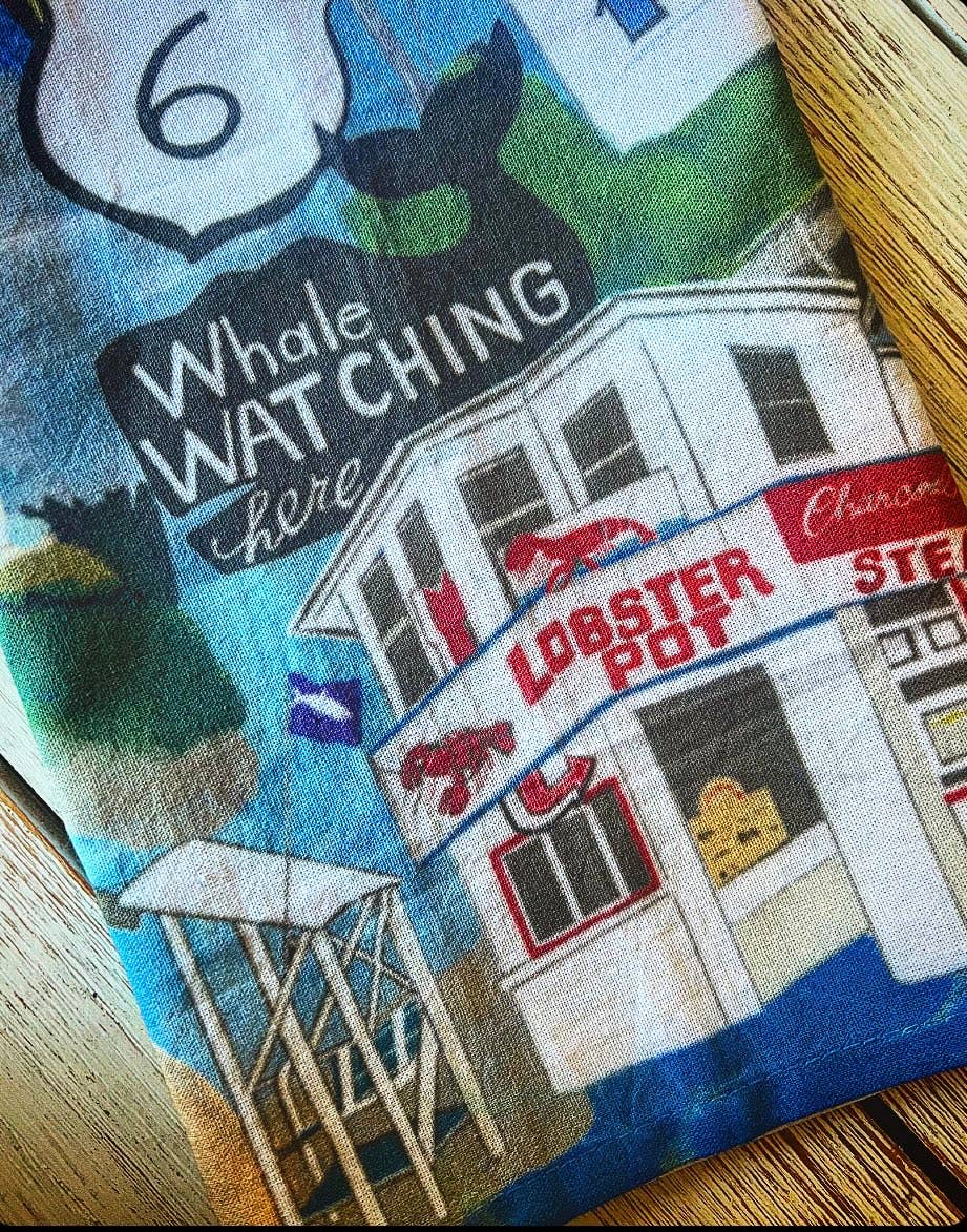 Domesticadence - Wholesale Tea Towel - Hand-Drawn Cape Cod Sites Dish / Tea Towels2