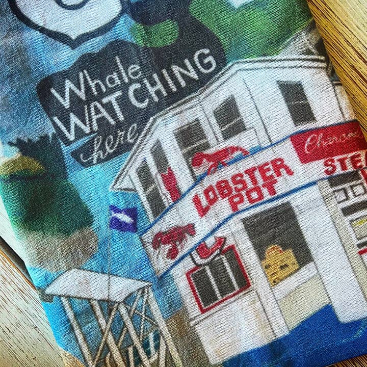 Domesticadence - Wholesale Tea Towel - Hand-Drawn Cape Cod Sites Dish / Tea Towels2
