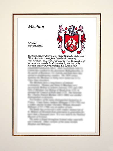 Meehan for wholesale by Family Histories