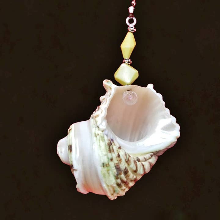 Shell We Sea Designs – wholesale Decorative tabletop object – Large Seashell Fan Light Pull Ceiling Chain Sand Dollar gift