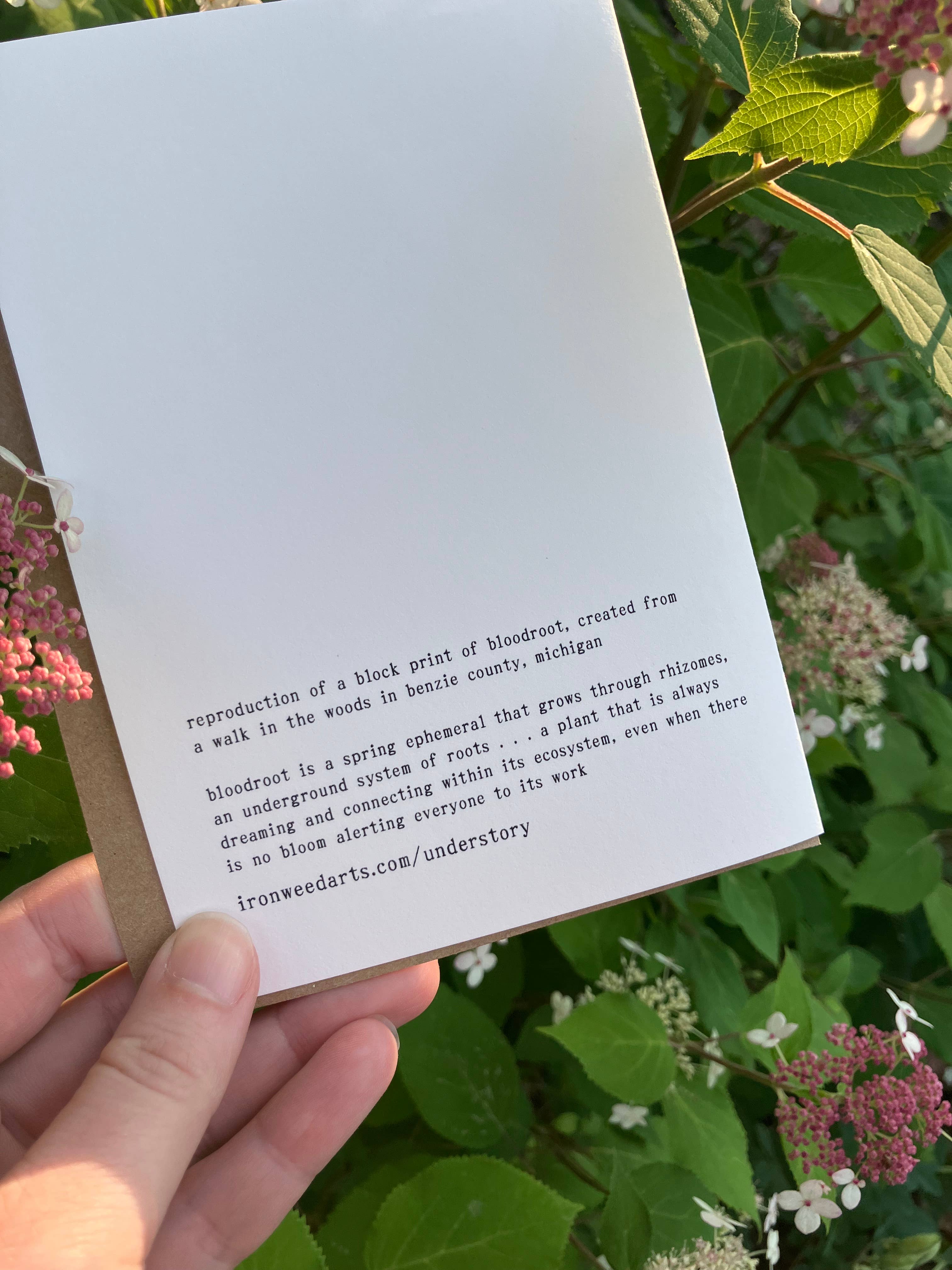 Ironweed Arts - Wholesale Encouragement Card - Greeting Card: With you at the rhizome…1