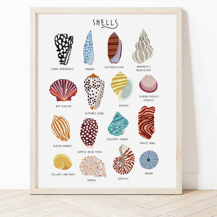 Stampa conchiglie per la vendita all'ingrosso da parte di Bea Baranowska Illustration