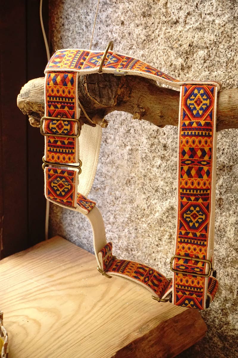 hundsfutter - Wholesale Pet Harness - Dog - "Ruben" dog harness and leash16