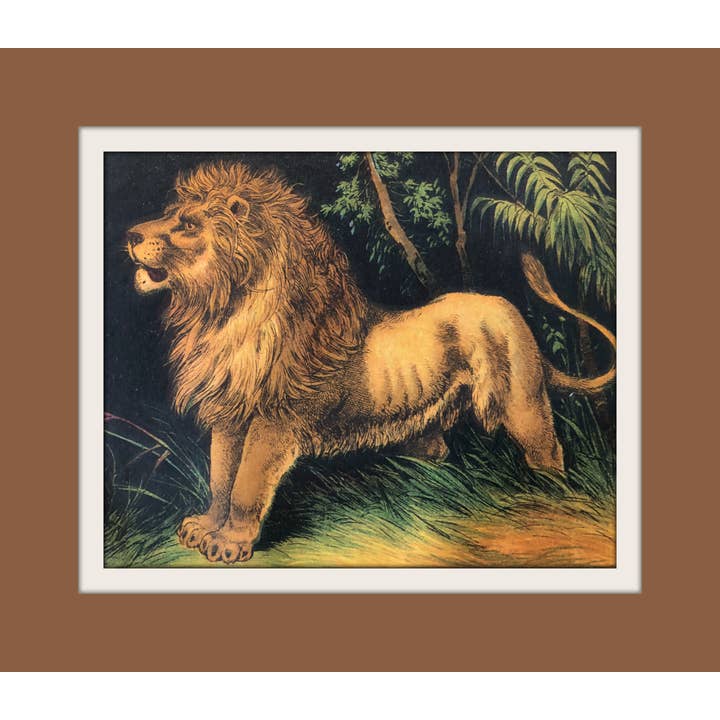 Lion for wholesale by Mandala Baby