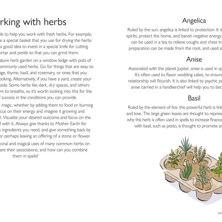 Ryland, Peters & Small - Wholesale Body, Mind & Spirit - The Little Book of Wicca1