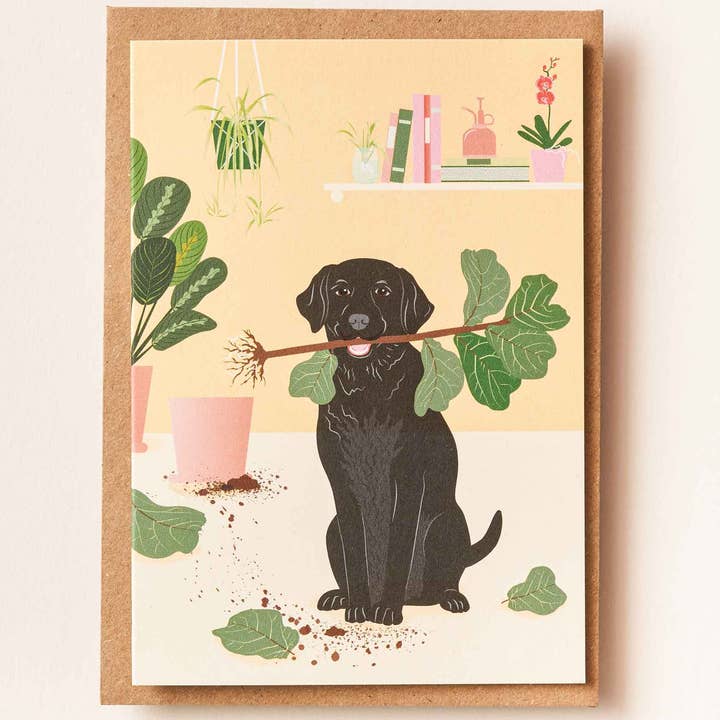 Another Studio - Wholesale Everyday Greeting Card - Labrador Dog - greetings card