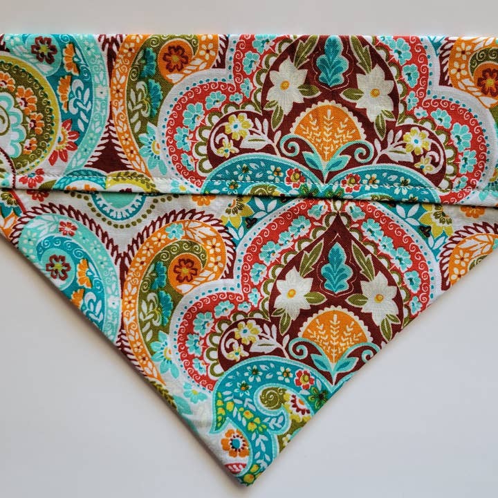 Vamos nos divertir por atacado de The Snazzy Pooch