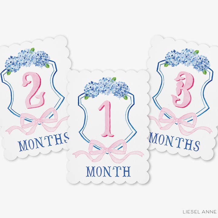 Blue and Pink Crest Scalloped Monthly Milestone Cards for wholesale by Liesel Anne Studios