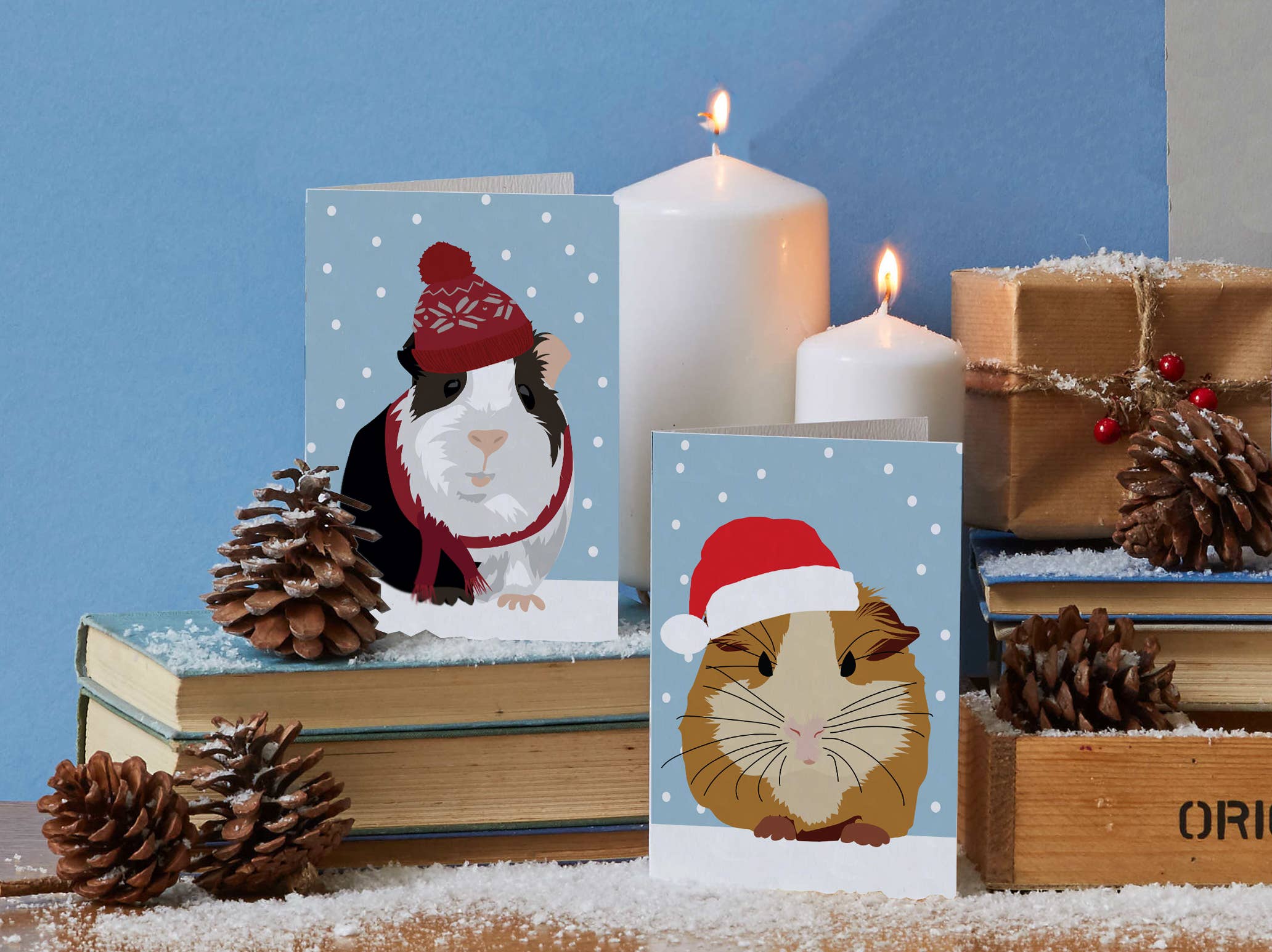 Lorna Syson - Wholesale Christmas Card - Christmas Card with Guinea Pig in wooly hat1