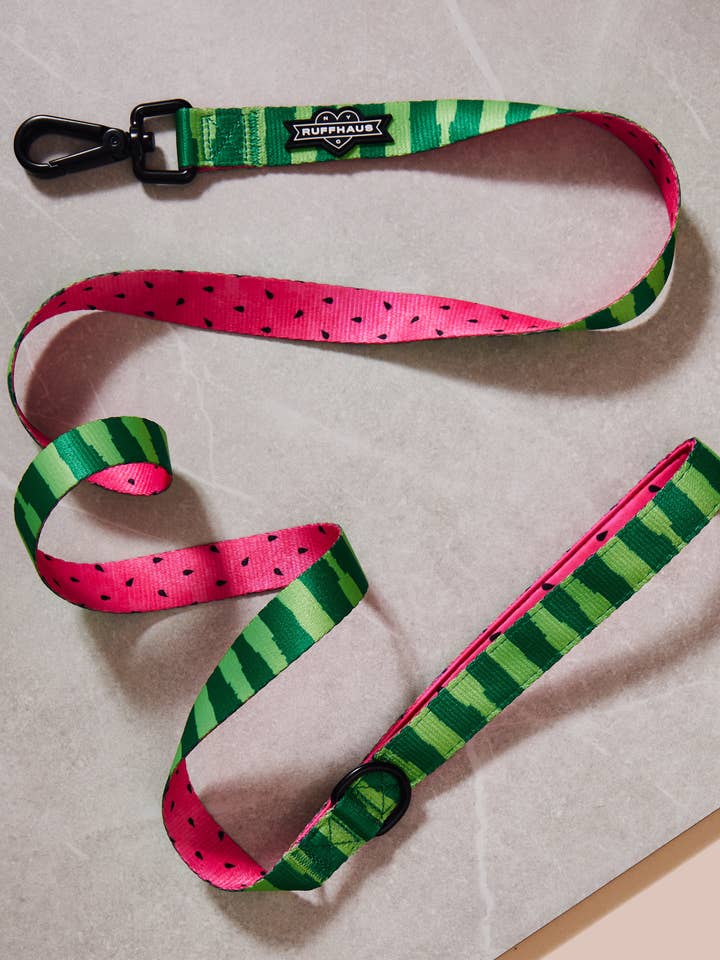 What-A-Melon Dog Leash for wholesale by Ruffhaus NYC
