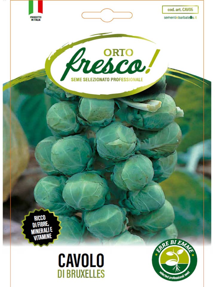 Brussels sprout for wholesale by Sementi & Barbatelle