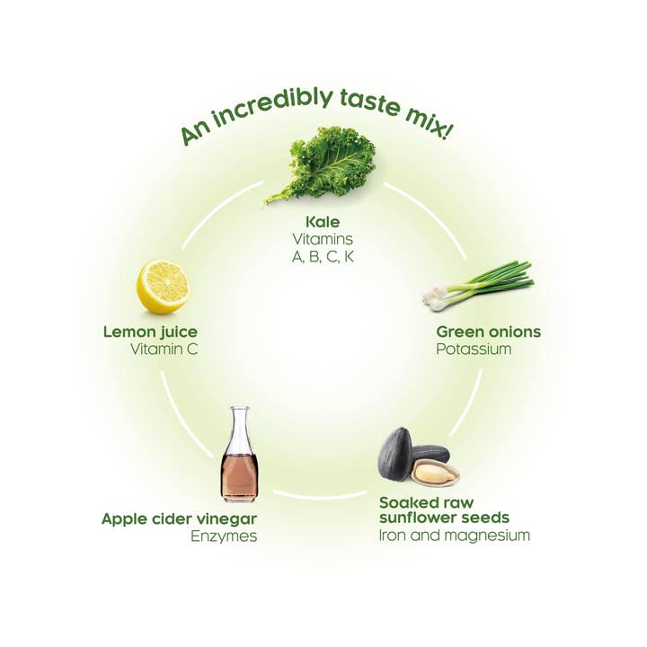 Vibe Foods - Wholesale Chips - Vibe Vegan Sour Cream & Green Onions Kale Chips2