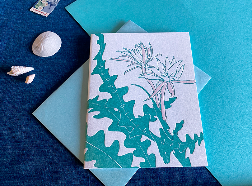 Navy Midnight Press - Vendita all'ingrosso Biglietti di auguri - Biglietto di auguri di compleanno Cactus R2