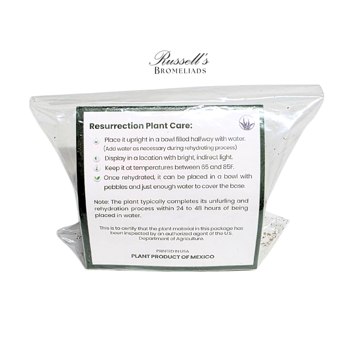 Russell's Bromeliads - Wholesale Live Plant - Resurrection Plant Set in Display Case - Half Pack7