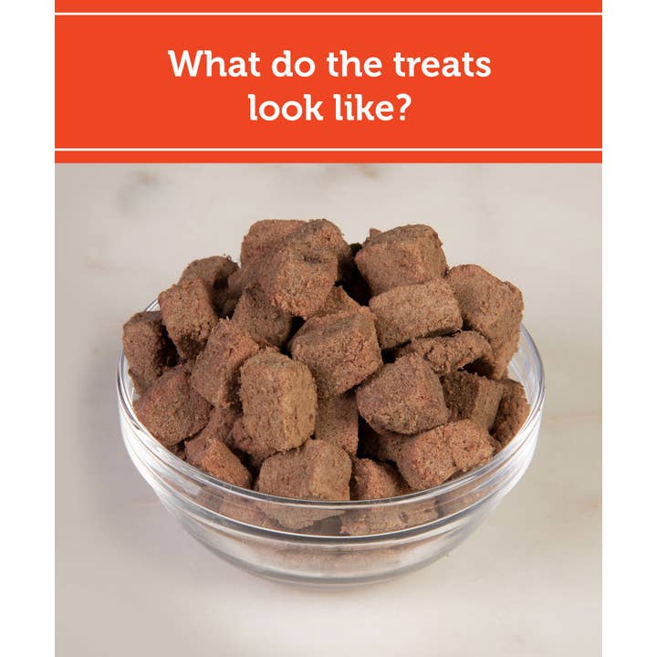 Fig & Tyler - Wholesale Pet Treats - Dog - Freeze-Dried Beef Heart Morsels1