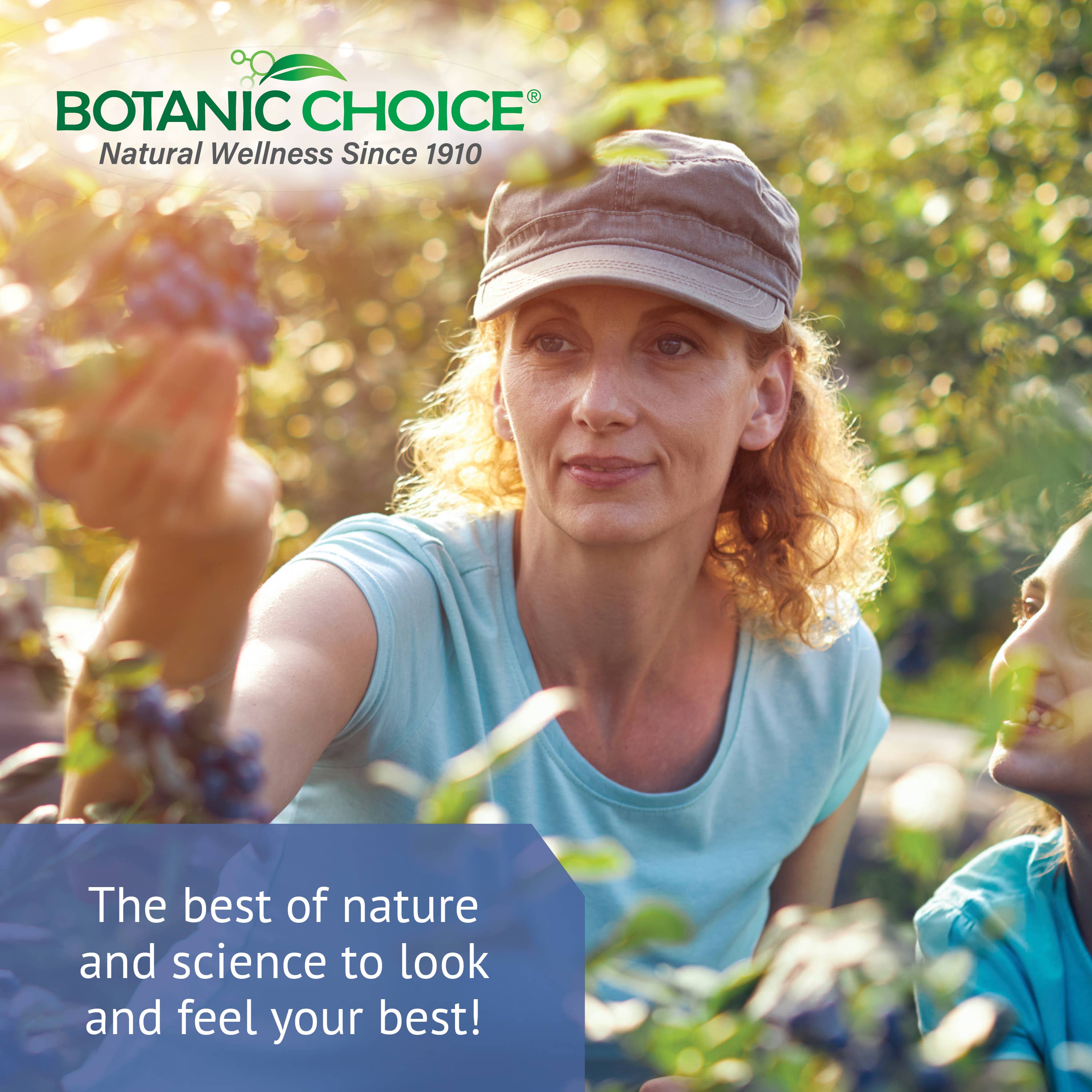 Botanic Choice - Wholesale Essential Oil - Botanic Choice Blueberry Leaf Liquid Extract - 1 oz7