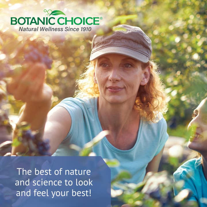 Botanic Choice - Wholesale Essential Oil - Botanic Choice Blueberry Leaf Liquid Extract - 1 oz7