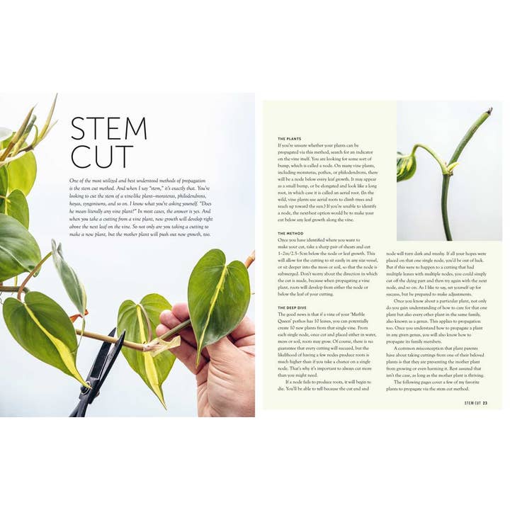 Simon & Schuster - Wholesale Book - Adult - Propagation Handbook by Hilton Carter