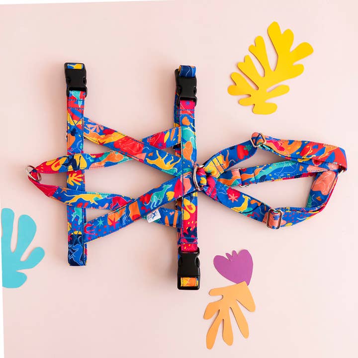 XY Matisse anti-escape sele för wholesale av El galgo azul