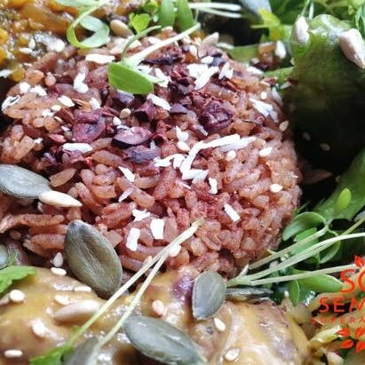 Sol Semilla - Wholesale Chocolate - Organic & vegan Criollo Raw Cocoa - Nuggets - 250 g3