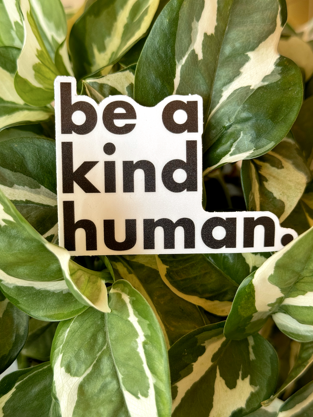 Be a Kind Human - Vente Autocollant - Autocollant Be a Kind Human//blanc1